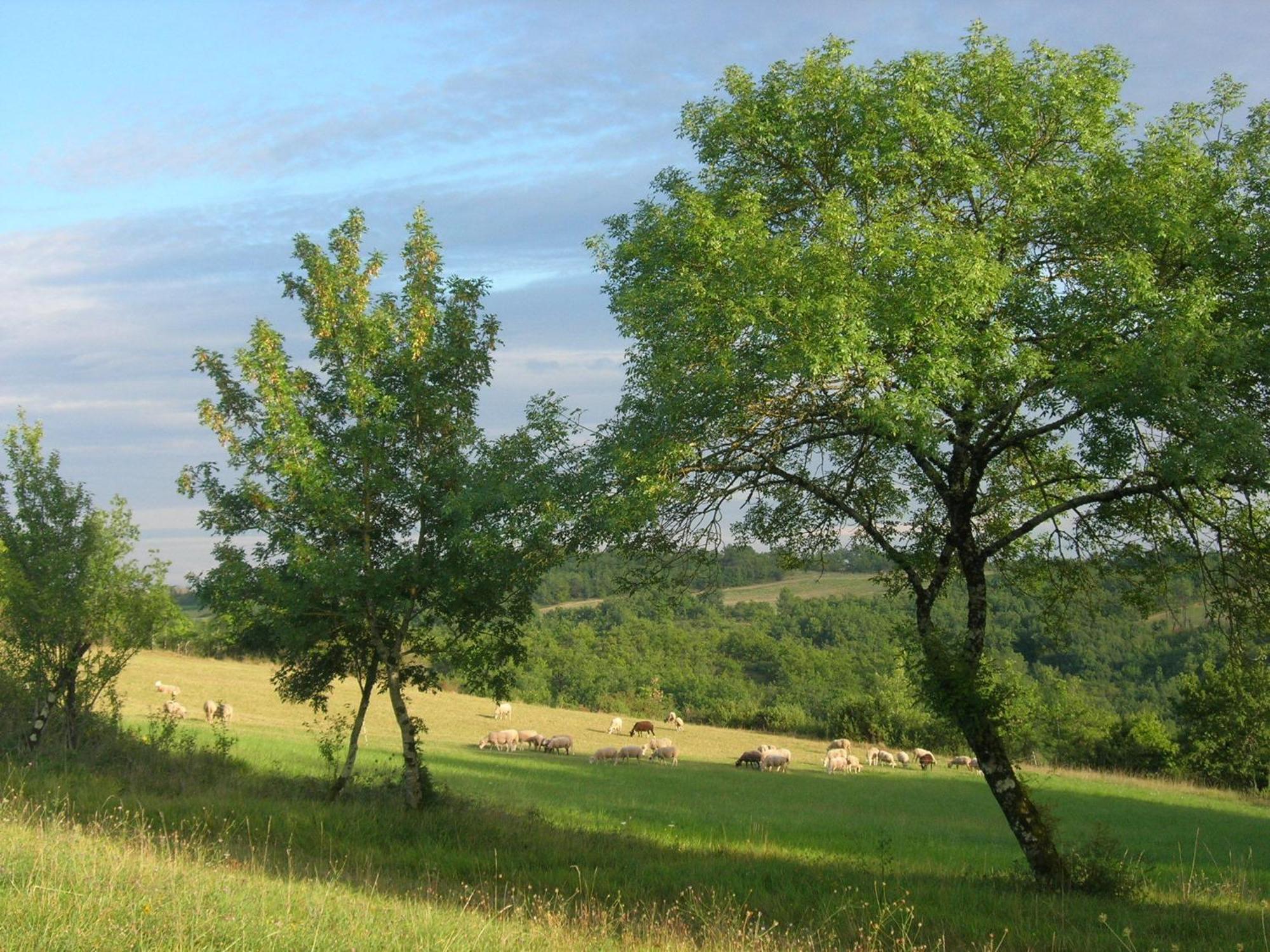 Les Hauts d'Albas Albas  Zimmer foto