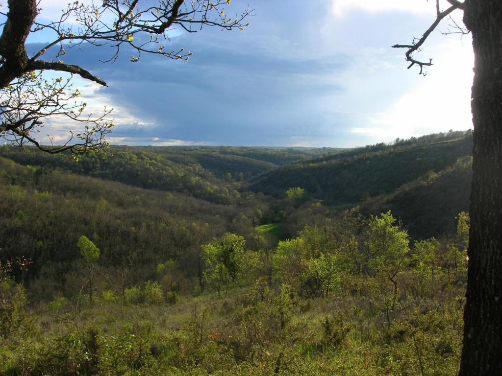 Les Hauts d'Albas Albas  Zimmer foto